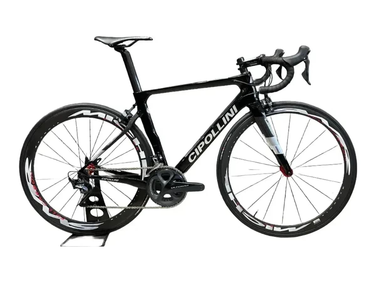 Cipollini Bond 2 2024 — 1