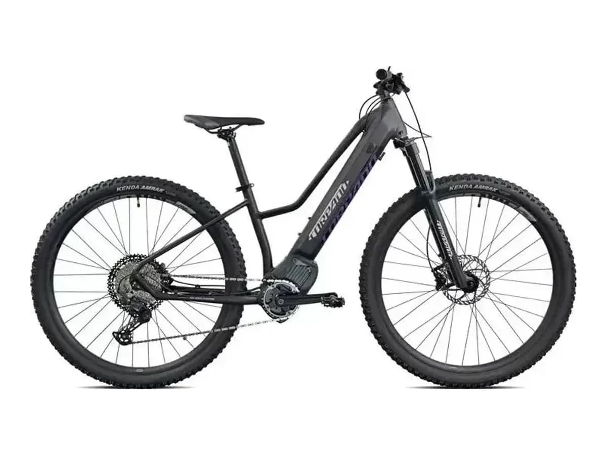 Torpado Ares 29'' 9v Oli 2023 — 1