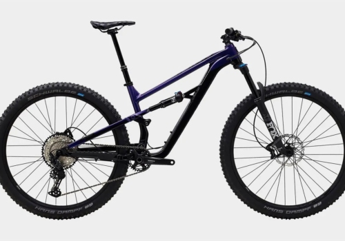 Polygon Siskiu T8 29