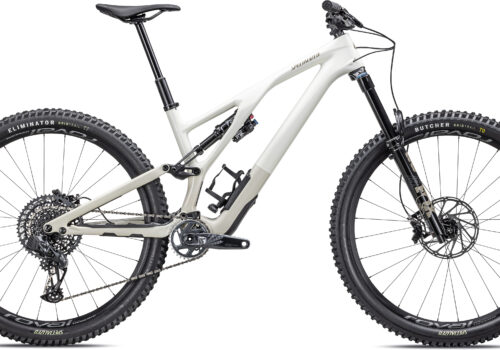 Specialized Stumpjumper EVO Expert