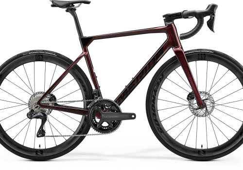 Merida Scultura 8000 2024